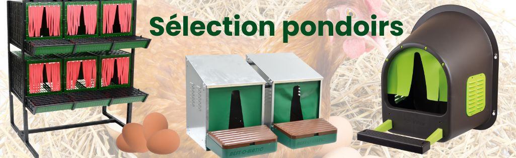 sélection de pondoirs